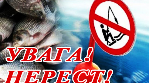 Увага! Нерест!