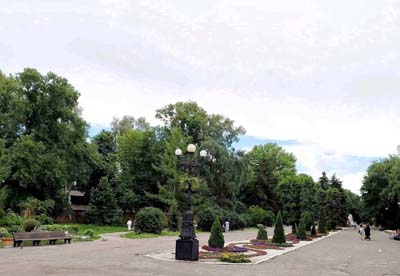49 В парку