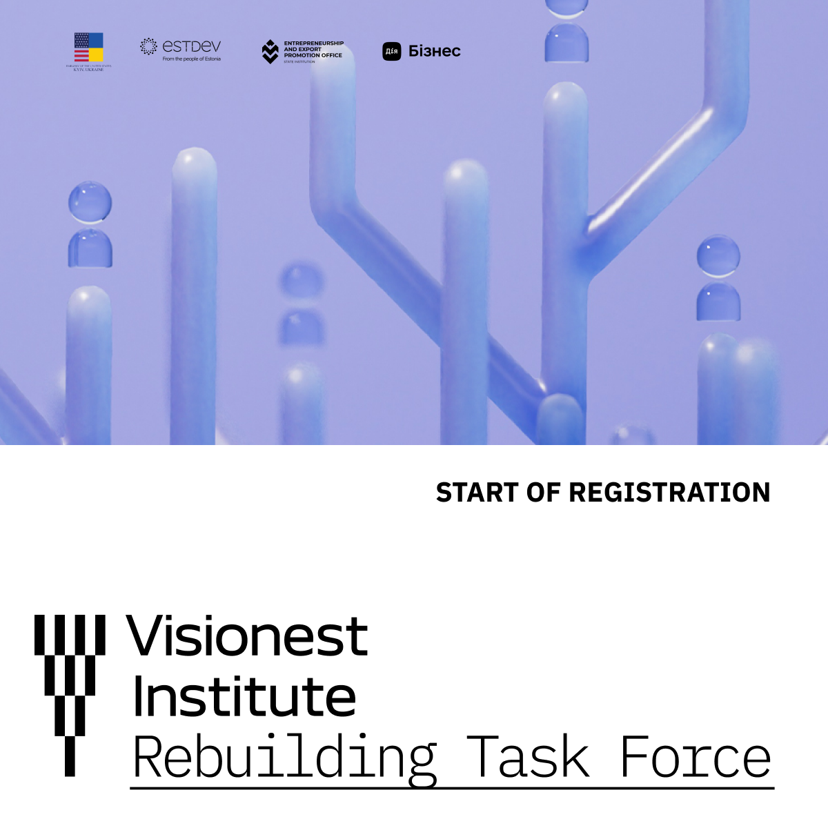 Visionest Institute
